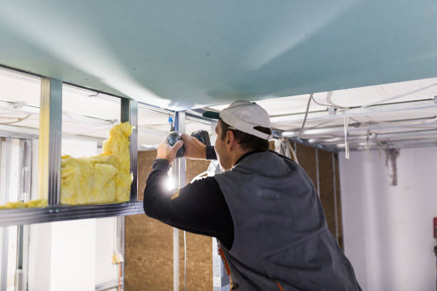 Best Attic Insulation Installation  in Detroit, MI