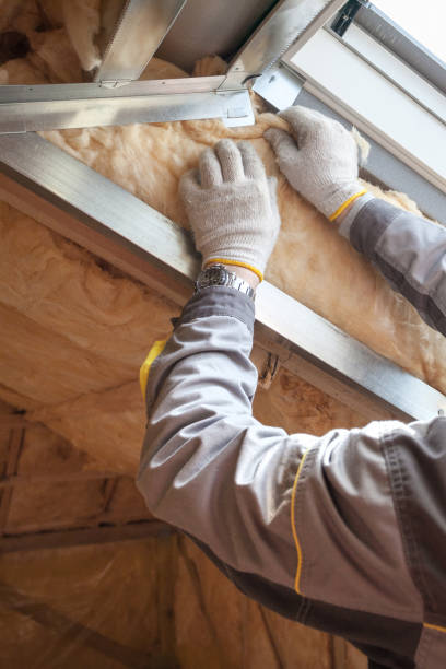 Best Blown-In Insulation  in Detroit, MI