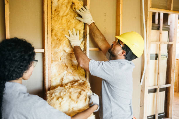 Best Spray Foam Insulation  in Detroit, MI