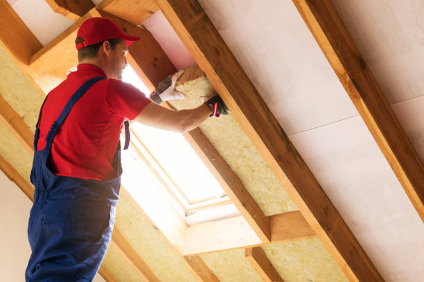 Best Insulation Air Sealing  in Detroit, MI